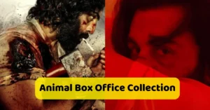 Animal Box Office Collection