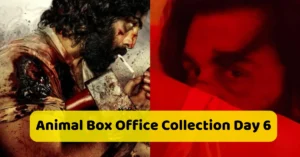 Animal Box Office Collection